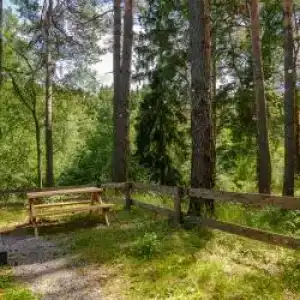 Лесной Привал - 60