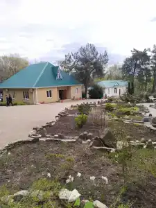 Сосновый - 94