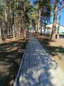 Иртышские зори - 1