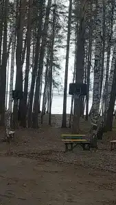 База Путеец - 61