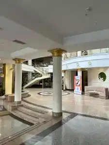 Реальянс - 61