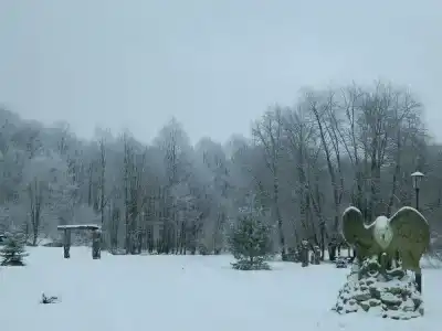 Серебряный ключ - 37