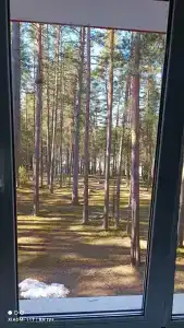 Звёздный - 79