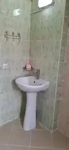 Тюльпан - 39