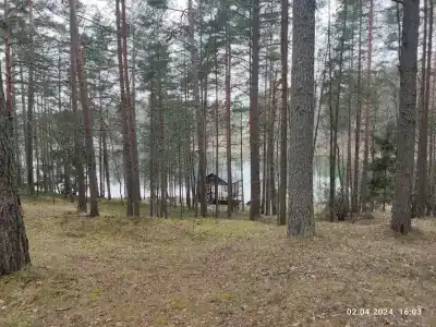 Звёздный - 93