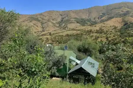 Дустлик - 10