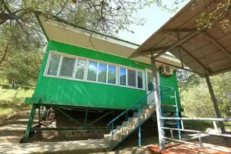 Дустлик - 11