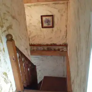 Куршская коса - 11