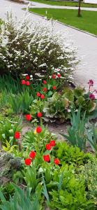 Энергетик - 48