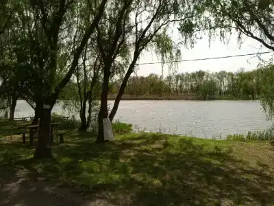 Даль - 18