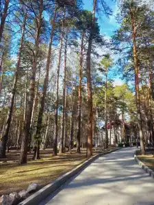 Абажур - 48