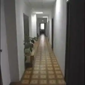 Золотая подкова - 28