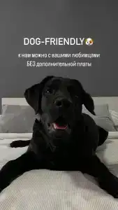 Степь - 2