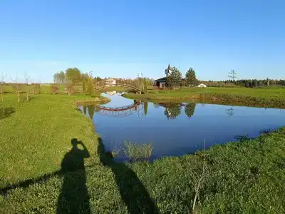 Елизарово - 29