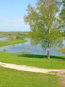 Пушкиногорье - 58