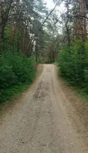 Ясная поляна - 38