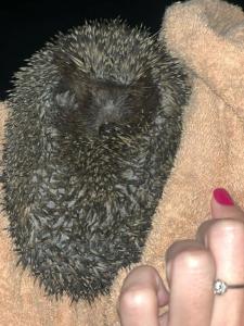 Белый Берег - 82