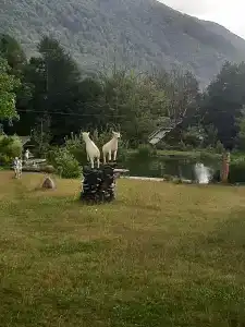Рыбино - 0