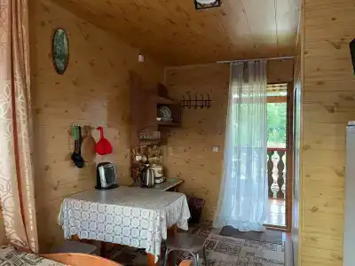 Телецкий бриз - 21