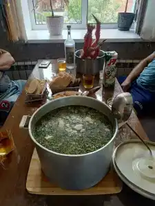 Максим - 31