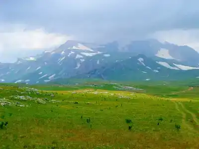 Тигратур - 6