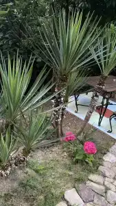 Мини отель Асхо - 24