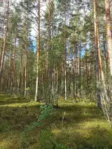 Свободное время - 34