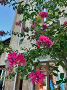 Ростовчанка - 19