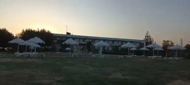 Альбатрос - 23