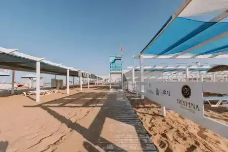 Горгиппия - 93