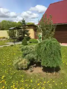 Династия - 66