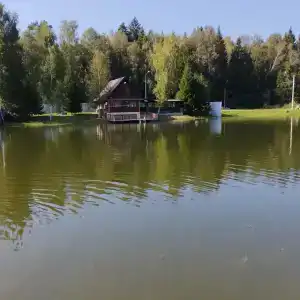 Нара - 49