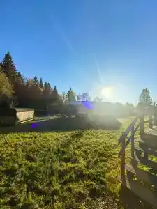 Хвойный Лес - 72