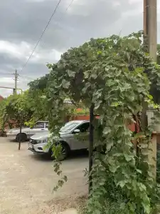 Виктори - 8