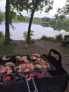 Лесная сказка - 43