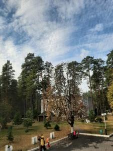 Жуковский - 40
