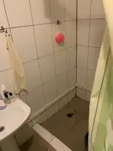 Лилия 3 - 30