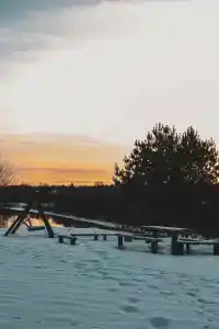 Родные просторы - 93