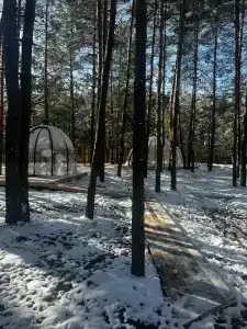 ПриродаРОДА - 63