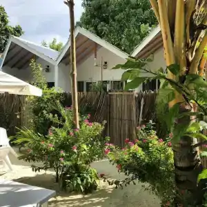 Palm Garden - 0