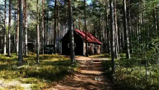 НаСегозеро - 28