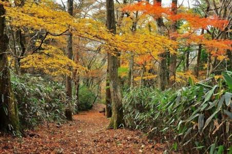 Hakone Guesthouse Toi - 19