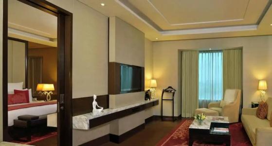 Radisson Blu Jaipur - 90