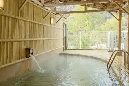 Itoen Hakone Yumoto - 8
