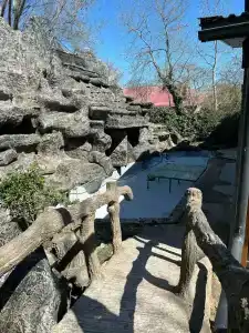 Золотая вилка - 14