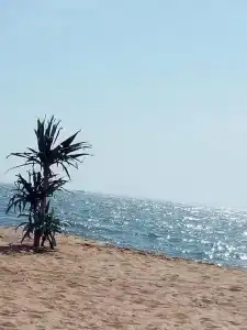 Пансионат Сказка - 52