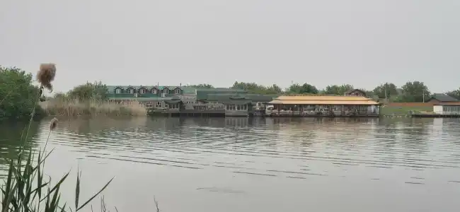 Кураж - 17