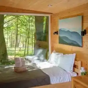 Лесной Привал - 65