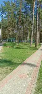 Романтика - 25