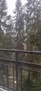 Тарховский военный санаторий - 7